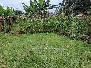 10acre's Is Available for Sale in Mukono