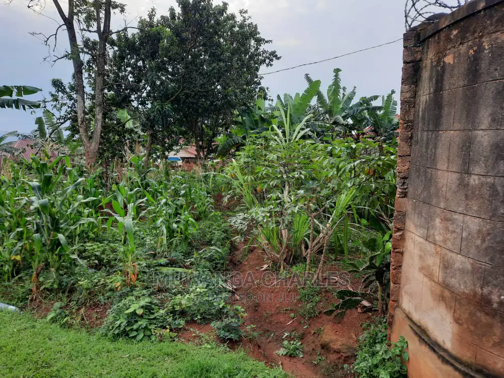 10acre's Is Available for Sale in Mukono
