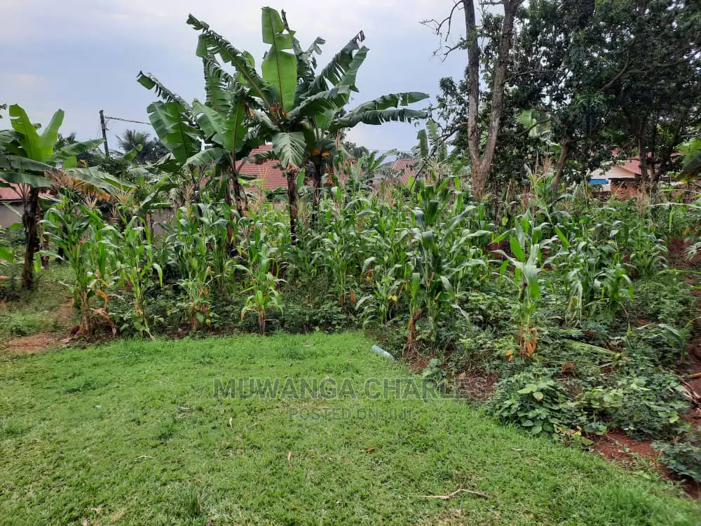 10acre's Is Available for Sale in Mukono