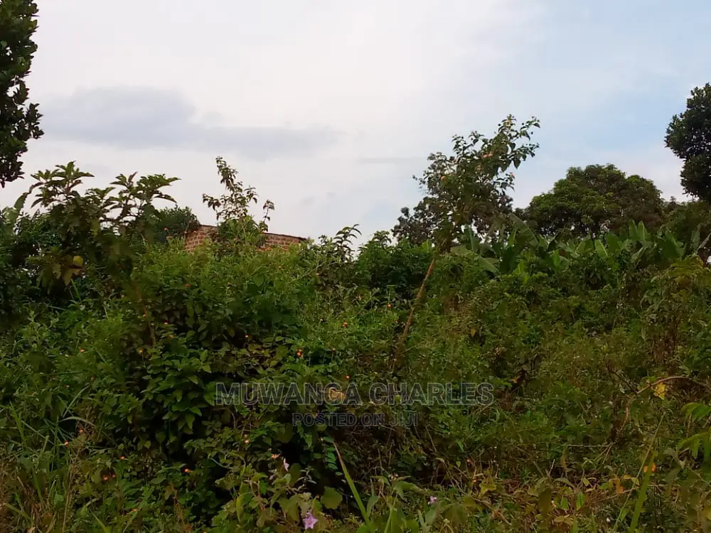 10acre's Is Available for Sale in Mukono