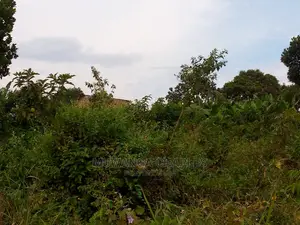 10acre's Is Available for Sale in Mukono