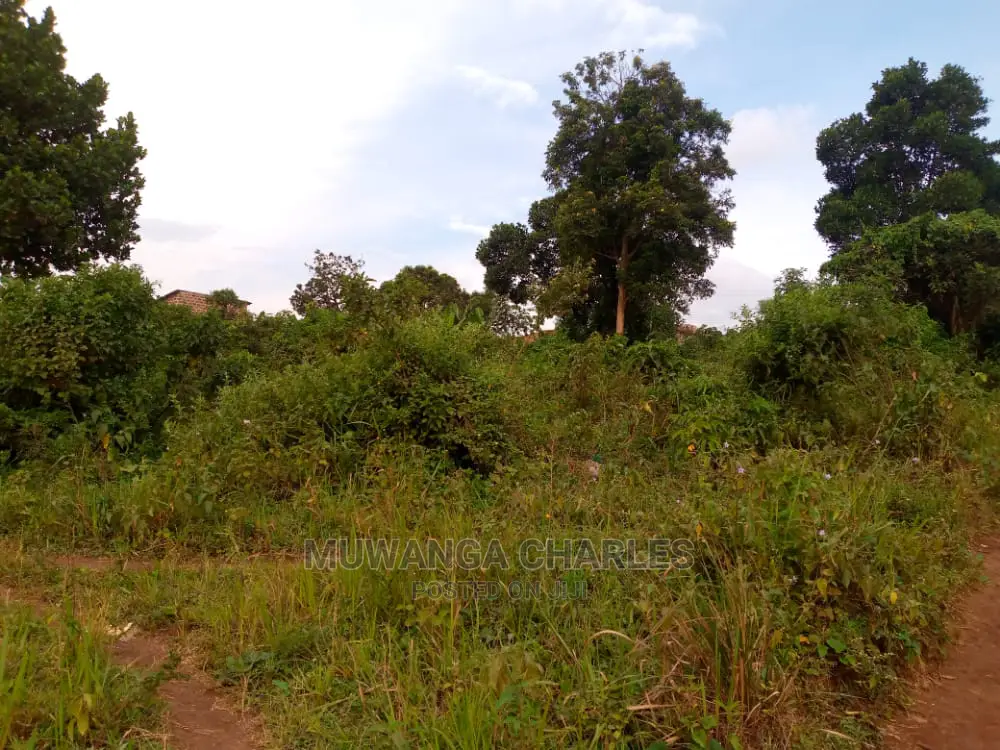 10acre's Is Available for Sale in Mukono