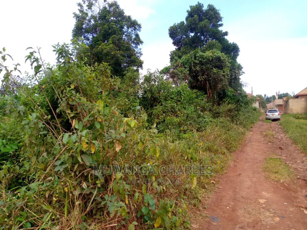 Plots Is Available For Sale In Buwate