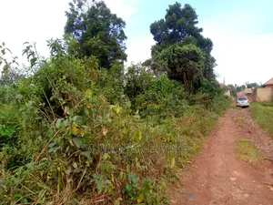 Plots Is Available For Sale In Buwate