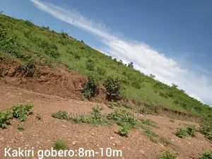 Plot's Is Available for Sale in Wakiso