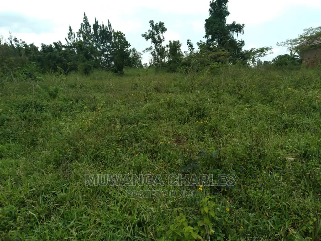 4acre's Is Available for Sale in Kiwenda
