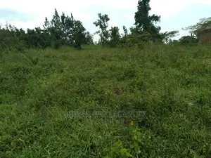 4acre's Is Available for Sale in Kiwenda