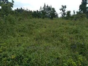 4acre's Is Available for Sale in Kiwenda
