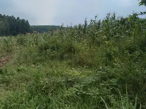 4acre's Is Available for Sale in Kiwenda