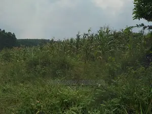 20acre's Is Available for Sale in Zirobwe