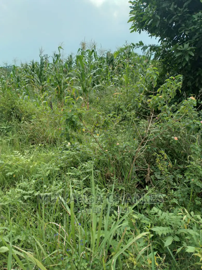 20acre's Is Available for Sale in Zirobwe