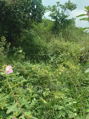 20acre's Is Available for Sale in Zirobwe