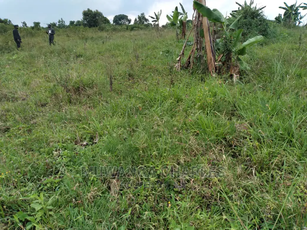 100acres Is Available for Sale in Luwero Kabunyata