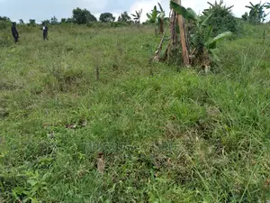 100acres Is Available for Sale in Luwero Kabunyata
