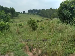 100acres Is Available for Sale in Luwero Kabunyata
