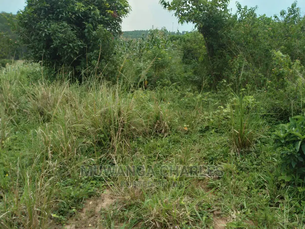 100acres Is Available for Sale in Luwero Kabunyata