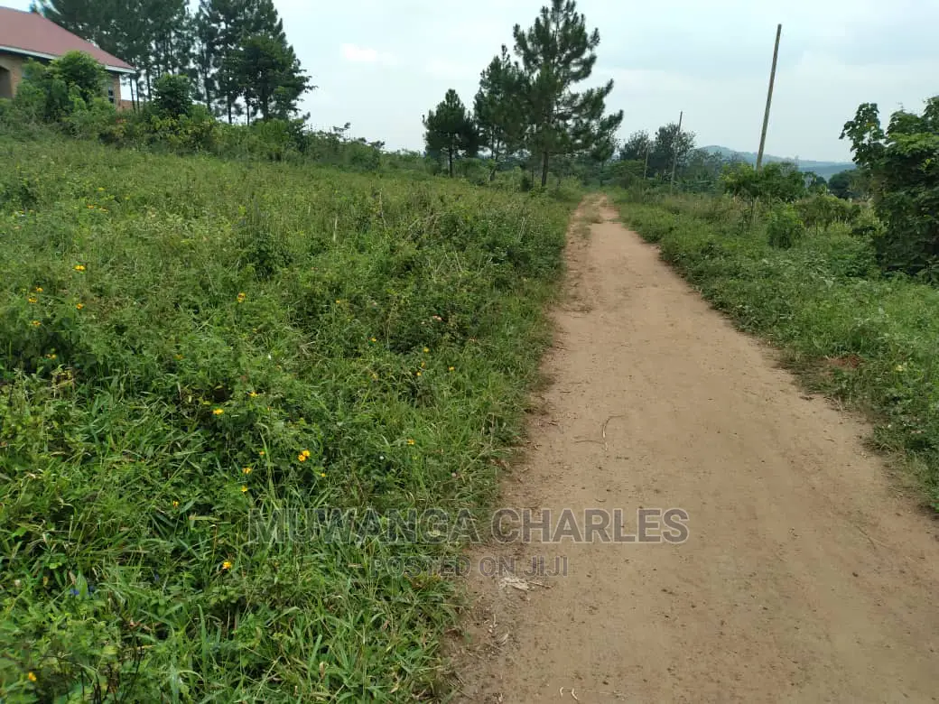 100acres Is Available for Sale in Luwero Kabunyata