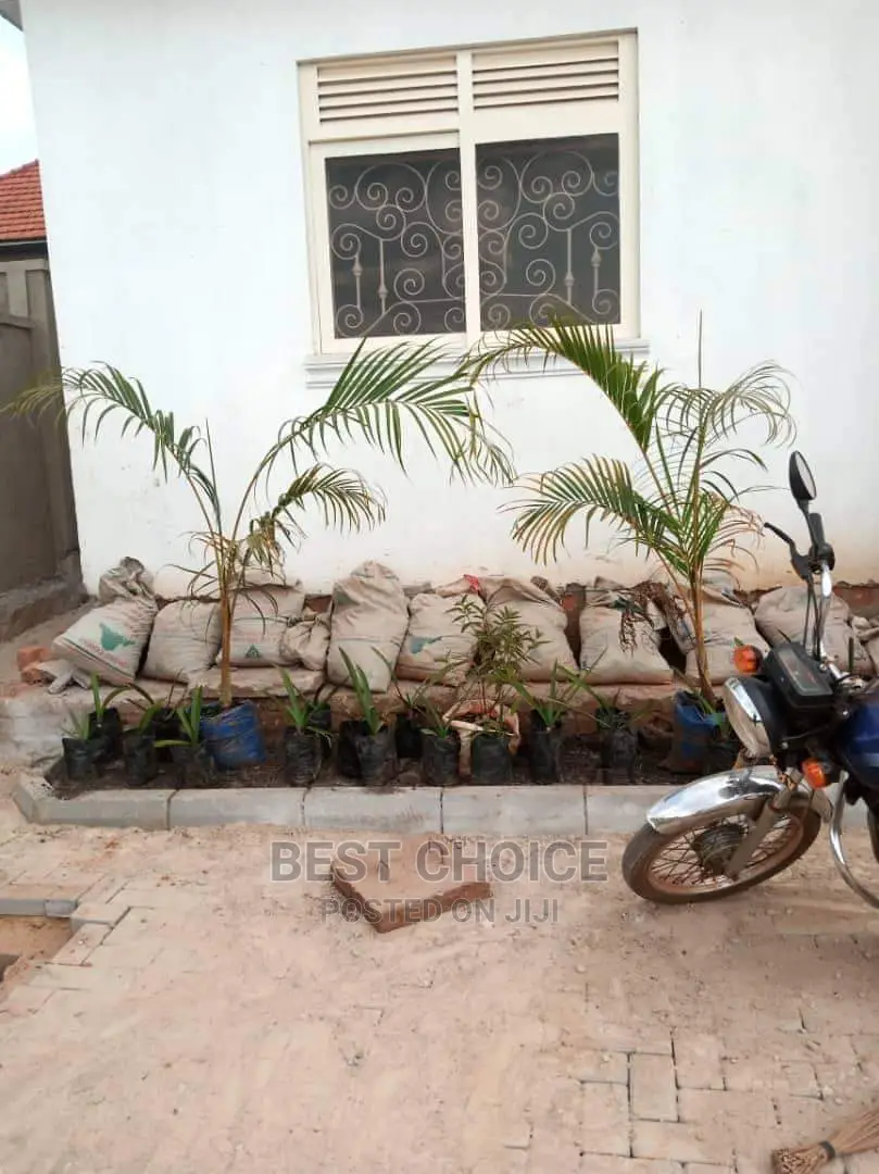 Compound Flowers/Plants,Land Scarping,Compound Designing.