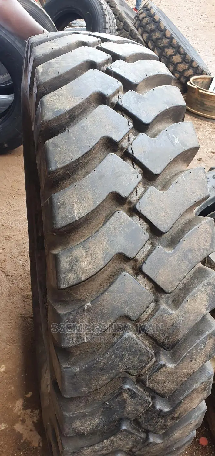 1300r24 Tyres