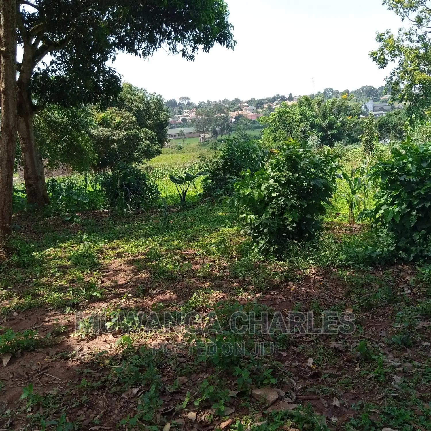 5acre's Is for Sale in Namulanda