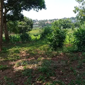 5acre's Is for Sale in Namulanda
