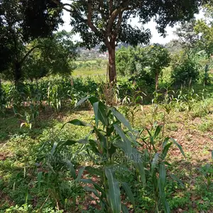 5acre's Is for Sale in Namulanda