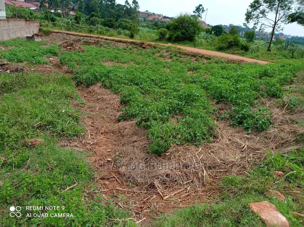 New Estate (100/50) Ft Plots for Sale in MPOMMA KABEMBE at 13m in