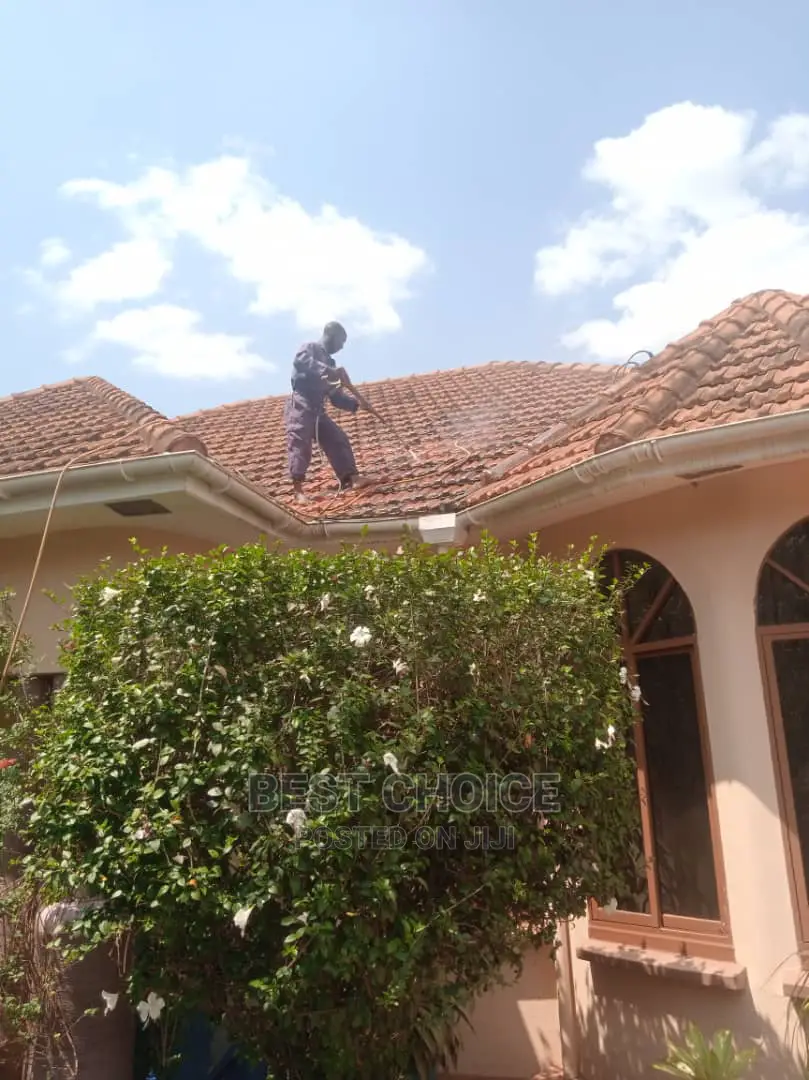 Trusted Roof Cleaning Services.
