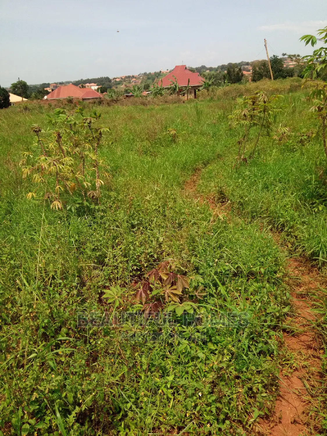 Kira Two Plots Near Tarmack on Quick Sell