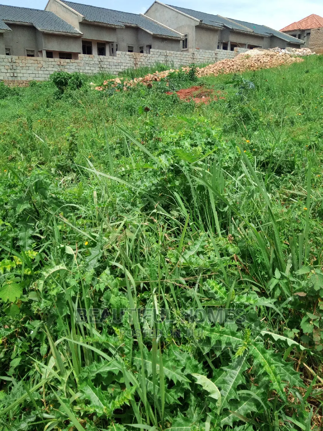 Kira Two Plots Near Tarmack on Quick Sell