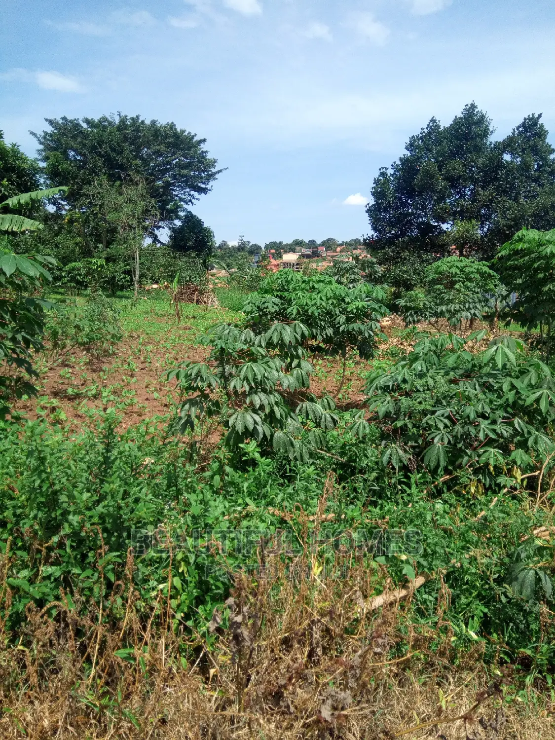 Kira Two Plots Near Tarmack on Quick Sell