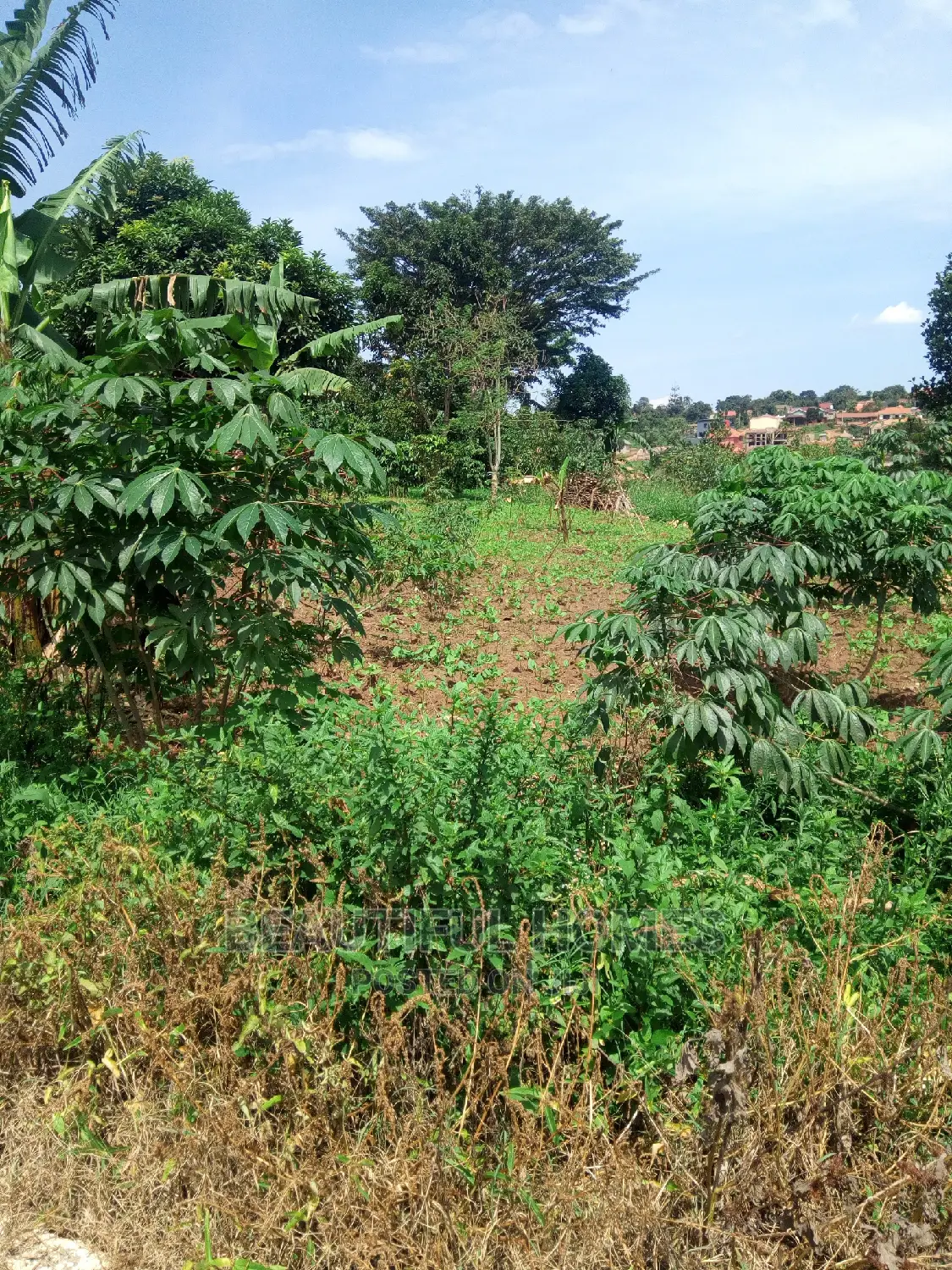Kira Two Plots Near Tarmack on Quick Sell