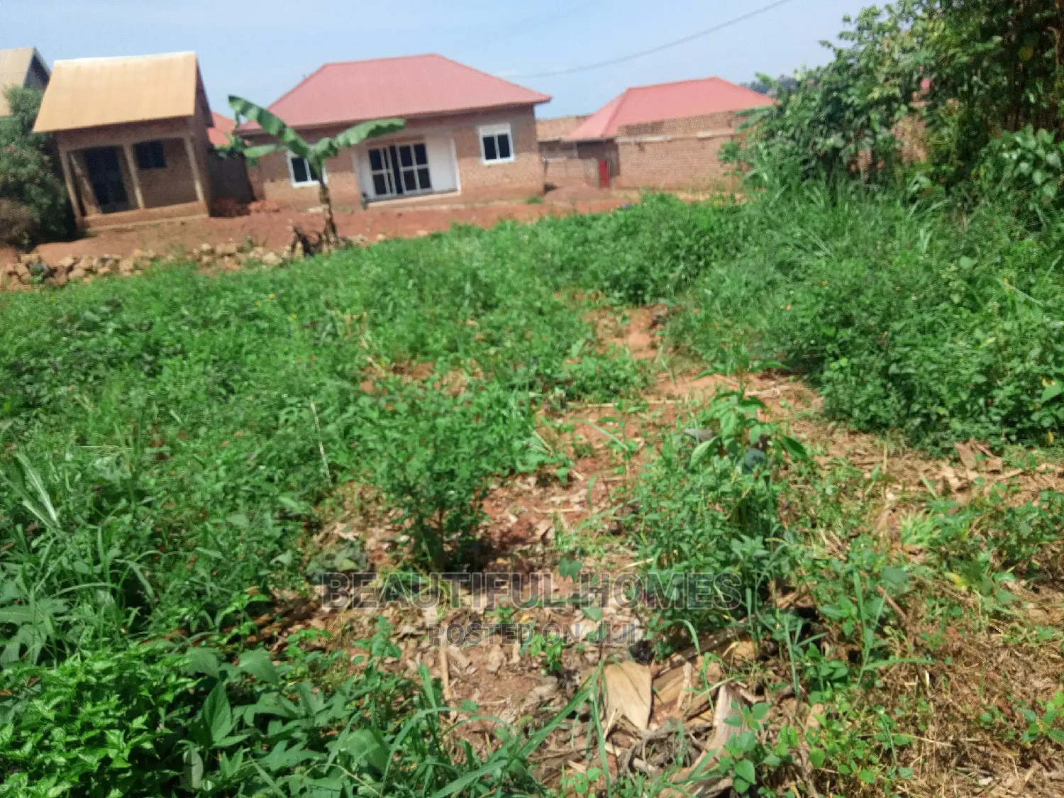 Kira Two Plots Near Tarmack on Quick Sell