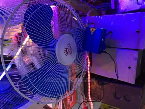 Ceiling Fan Crown