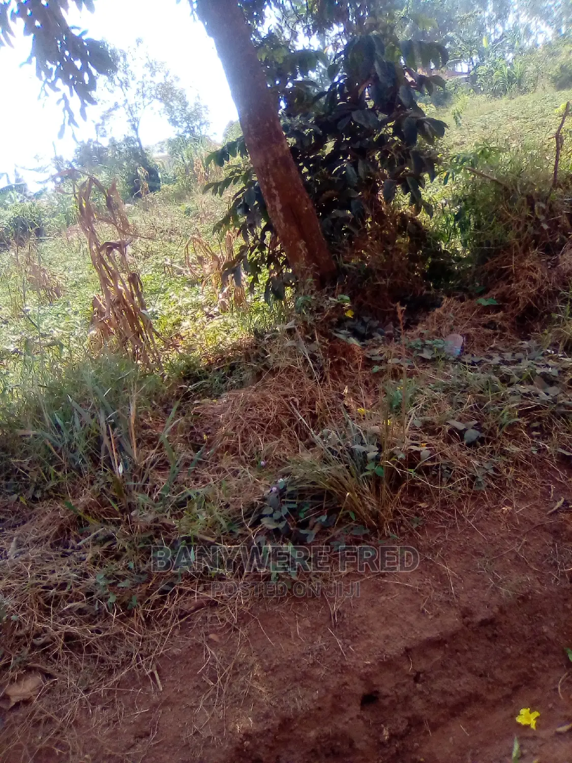 5acres in Nagoje Kasana Buikwe
