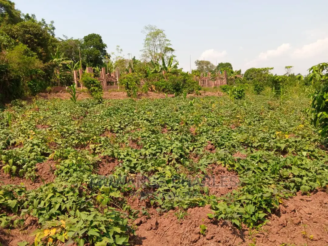 4acre's Is Available for Sale Mityana Road Muduma