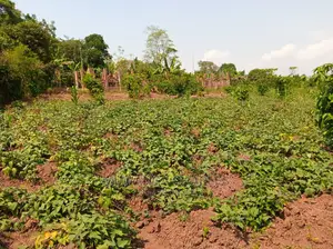 4acre's Is Available for Sale Mityana Road Muduma