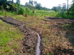 20acre's Is Available for Sale in Luwero Kakoge