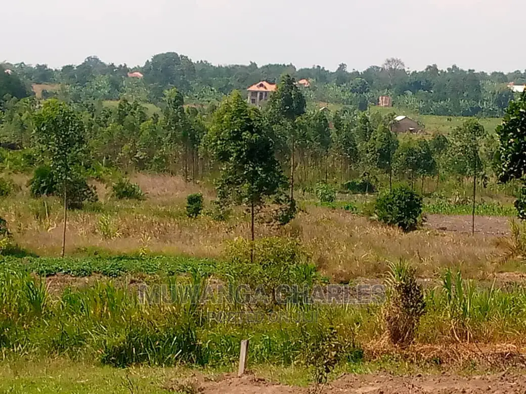 20acre's Is Available for Sale in Luwero Kakoge