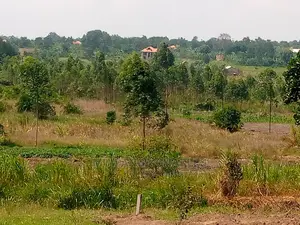 20acre's Is Available for Sale in Luwero Kakoge