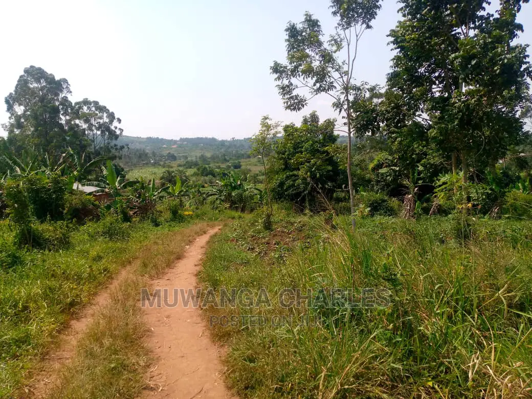 20acre's Is Available for Sale in Luwero Kakoge