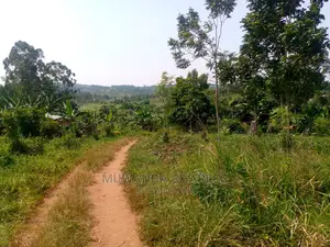 20acre's Is Available for Sale in Luwero Kakoge