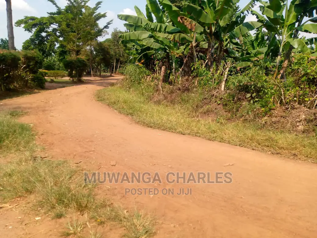20acre's Is Available for Sale in Luwero Kakoge