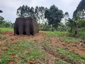 Plots Is for Sale in Kira