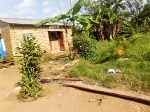 Plots Is for Sale in Gayaza