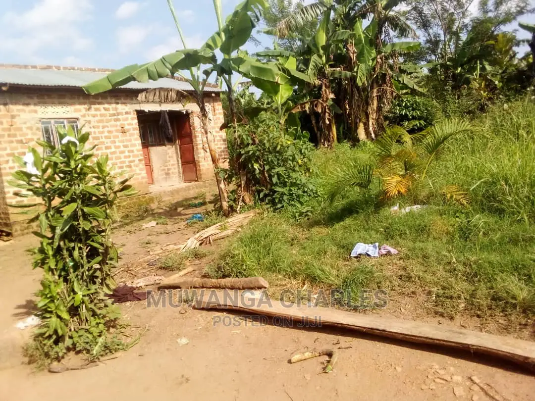 Plots Is for Sale in Gayaza