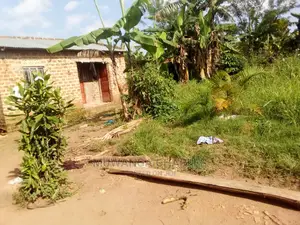 Plots Is for Sale in Gayaza