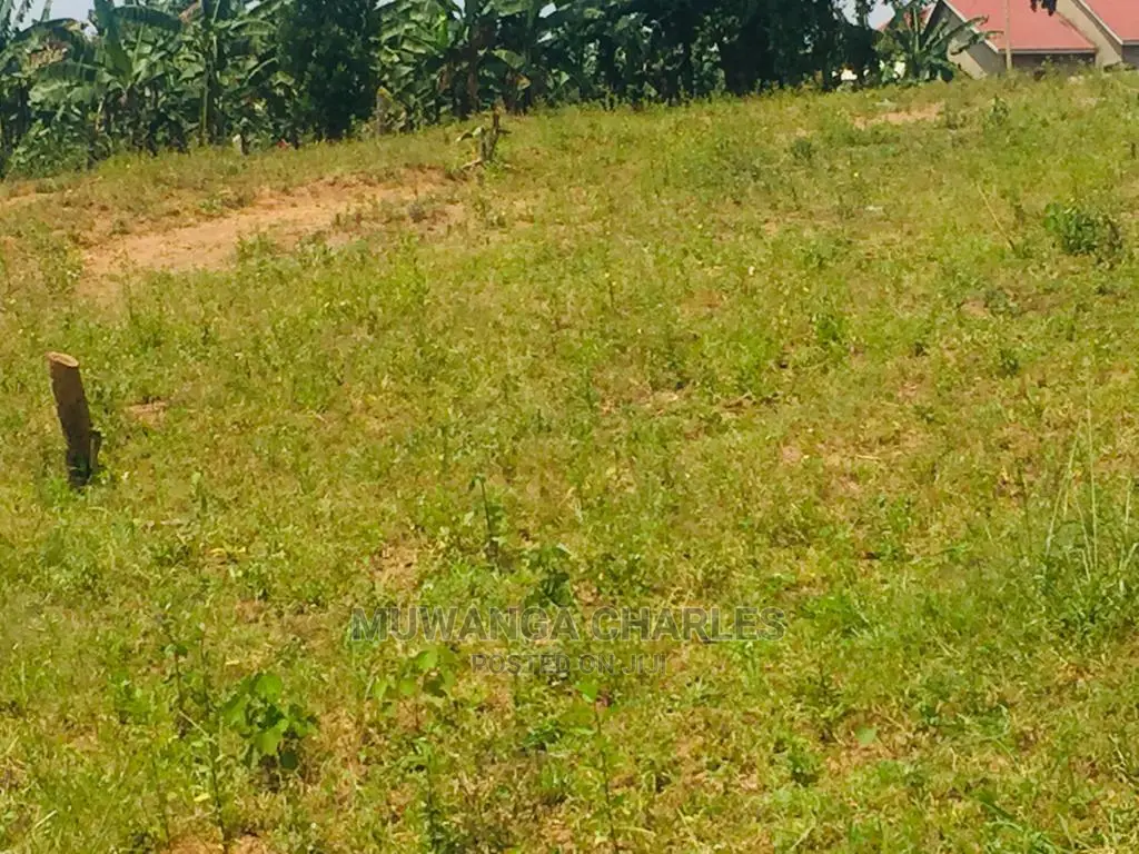 Plot Is for Sale in Wakiso