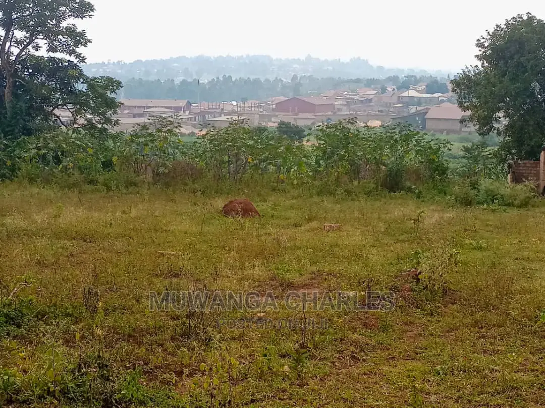 Plot Is for Sale in Wakiso