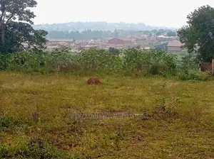 Plot Is for Sale in Wakiso
